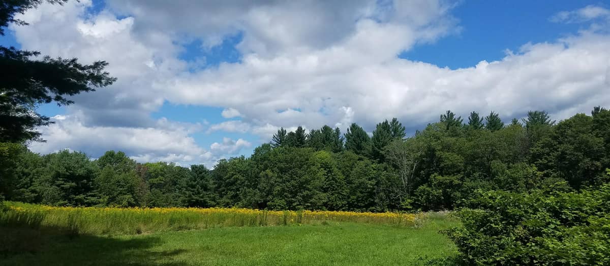 View from our family's property in Becket, Massachusetts, the Berkshires.